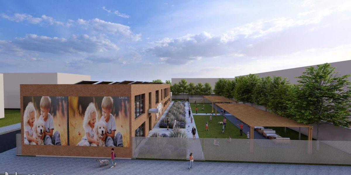 aspa-centru-pallady-nou-3.jpg - StiriAlese