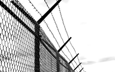 barbed-wire-g01ed0ce60_1280-e1673949380464.jpg - StiriAlese