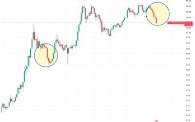 bd0c622f5b6e2a79489c2f09c02e7be8ffaf118a-2562x1988.png - StiriAlese