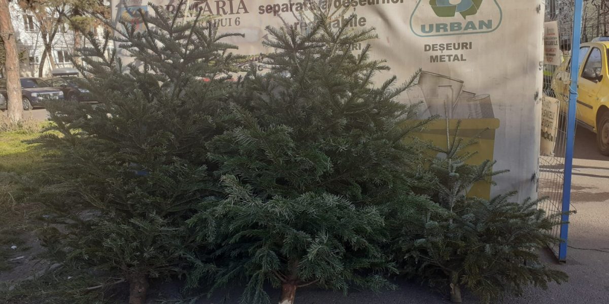 brazi.jpeg - StiriAlese