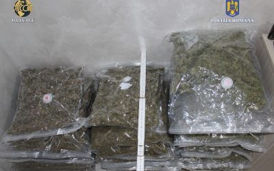 canabis.jpeg - StiriAlese