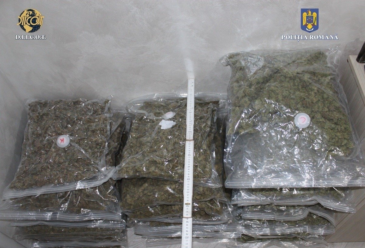 Vrancea, epicentrul unei rețele de traficare internațională de droguri: poliția descoperă alte 15 kilograme de canabis în cadrul aceleiași anchete Poliția Județeană Vrancea intervine din nou în cadrul unei anchete de amploare privind traficul internațional de droguri, dezvăluind o nouă descoperire semnificativă care adâncește misterul și complexitatea rețelei