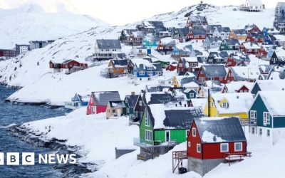 cd73fc80-e988-11f0-abce-2b22587e05c3.jpg - StiriAlese