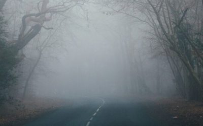 ceata-cod-galben-e1709438463346.jpg - StiriAlese