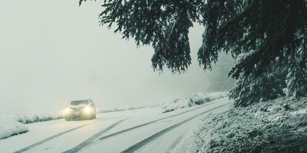 cristofer-maximilian-ONMpvKeYaeM-unsplash.jpg - StiriAlese