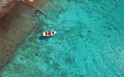 curacao-flocking-americans.jpg - StiriAlese