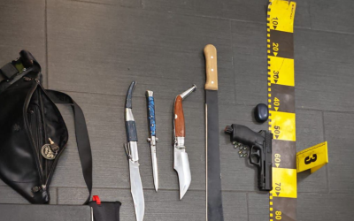 cutite.png - StiriAlese