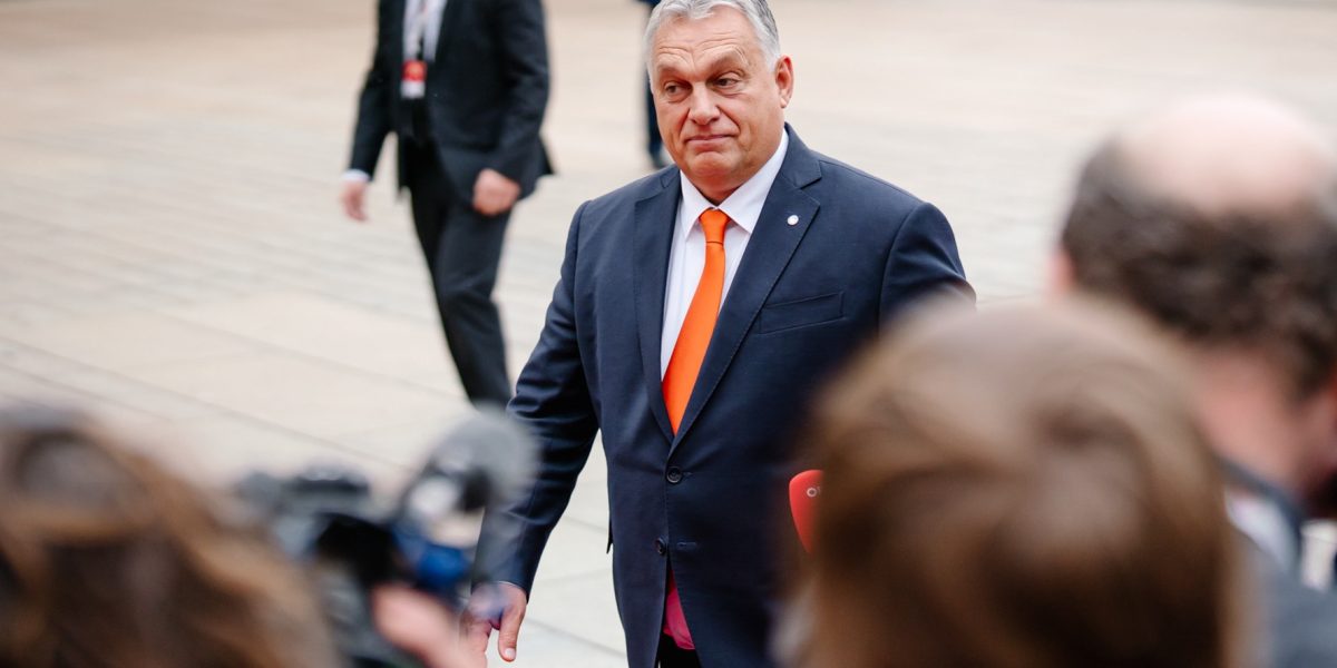 d506f2c6-e5a0-47cb-87c3-153d4628b931.jpg - StiriAlese