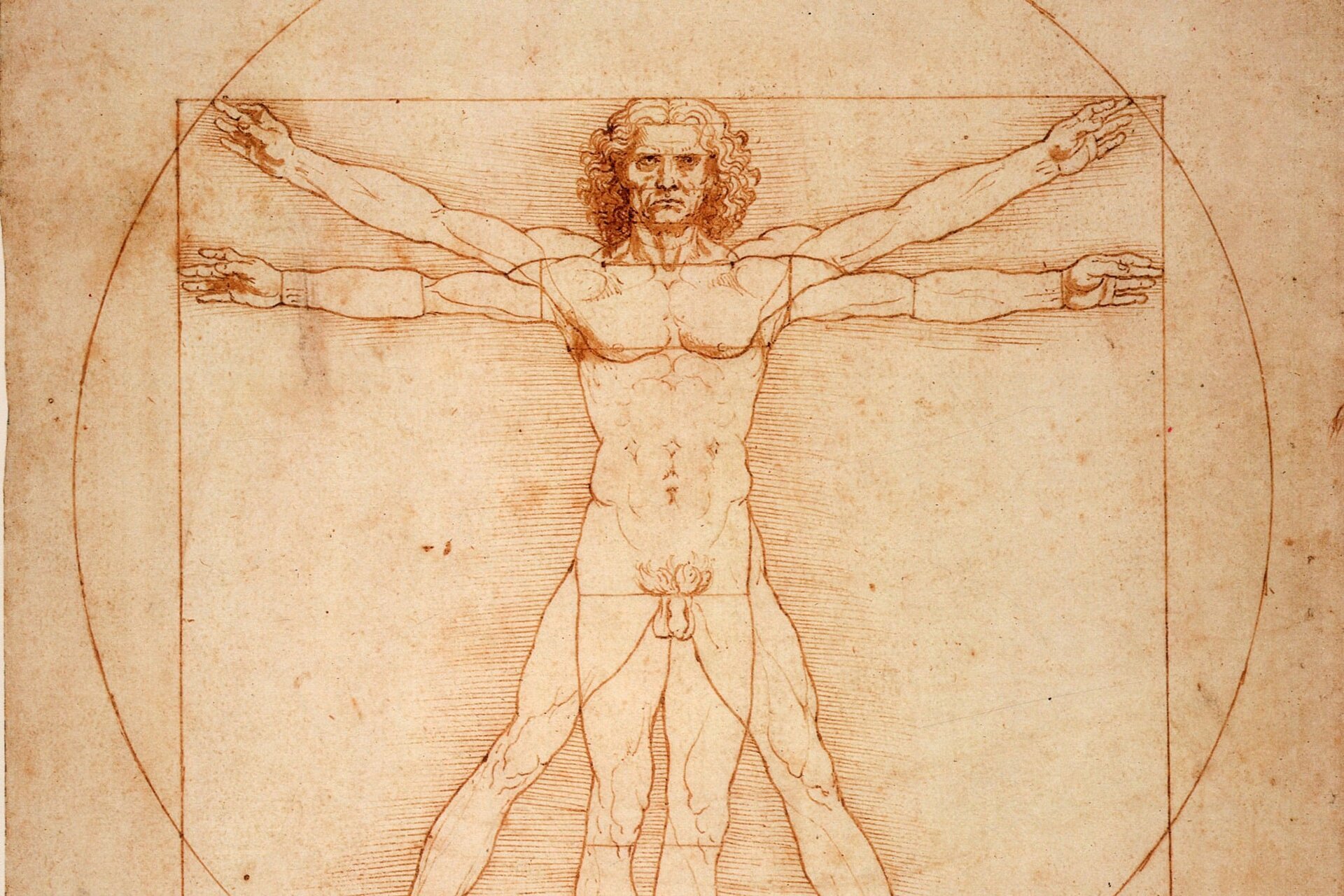 Un fragment de ADN dintr-un desen vechi de peste 500 de ani? La prima vedere, ideea pare desprinsă dintr-un roman de suspans, dar cercetările revoluționare din domeniul „arteomics” aduc această posibilitate mai aproape de realitate