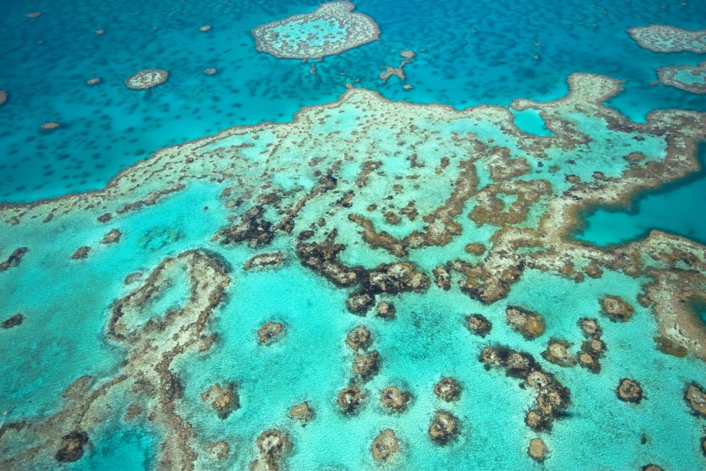 Perioadele de liniște atmosferică accelerează albirea coralilor din Marea Barieră de Corali Transformările climatice continuă să fie printre cei mai vehemenți agresori ai ecosistemelor marine, iar cea mai recentă descoperire confirmă, din nou, cât de fragilă devine această resursă inestimabilă