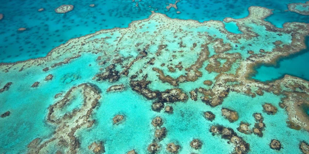 dreamstime_l_7406948.jpg - StiriAlese