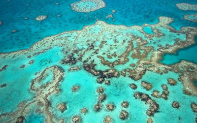 dreamstime_l_7406948.jpg - StiriAlese