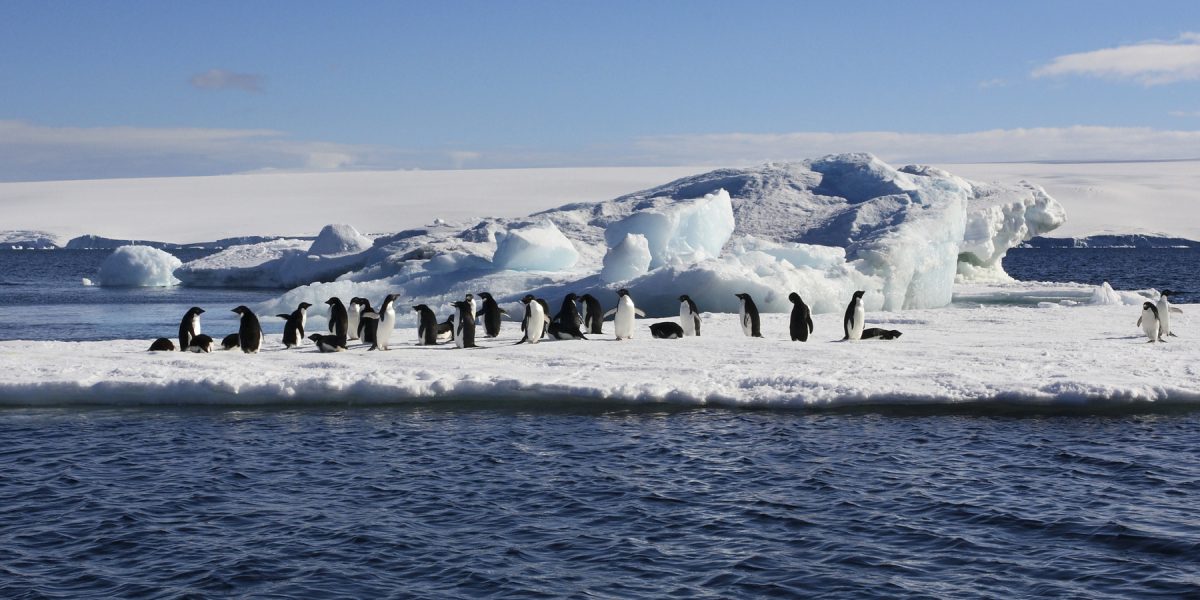 dreamstime_m_10795006.jpg - StiriAlese