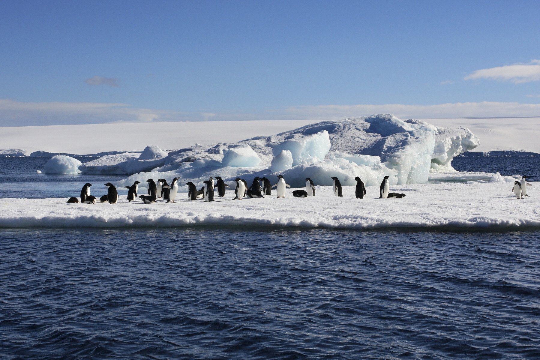 O hartă științifică revoluționară dezvăluie în detaliu peisajul ascuns sub gheața Antarcticii, oferind indicii cruciale pentru înțelegerea proceselor care conduc la topirea masivă a calotei glaciare și, implicit, la creșterea nivelului mărilor