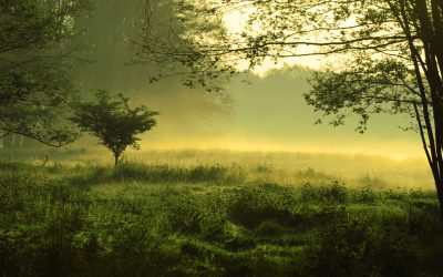 dreamstime_m_4953634.jpg - StiriAlese