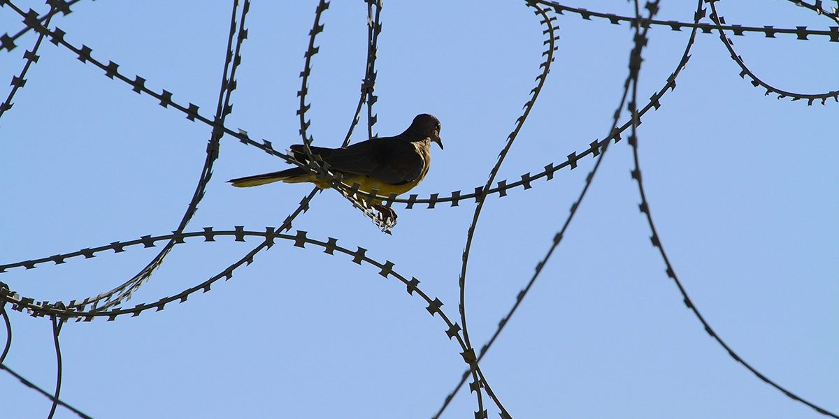 dreamstime_m_64982902.jpg - StiriAlese