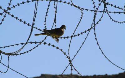 dreamstime_m_64982902.jpg - StiriAlese