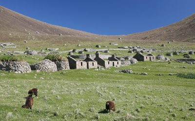 dreamstime_s_2681229.jpg - StiriAlese