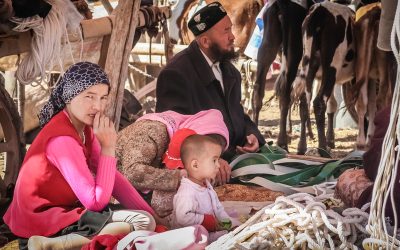 dreamstime_s_68065742.jpg - StiriAlese