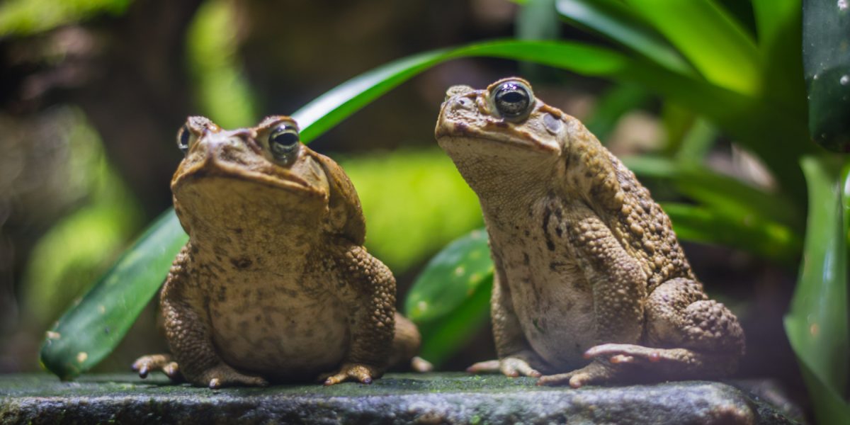 dreamstime_xl_123690325.jpg - StiriAlese