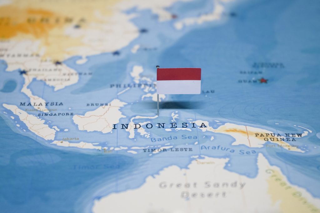 Avion de pasageri dispărut pe o insulă din Indonezia: misiune de căutare în desfășurare Situație de urgență tragică în Indonezia, unde sâmbătă dimineața a dispărut misterios un avion de pasageri în apropierea unei insule din arhipelagul indonezian