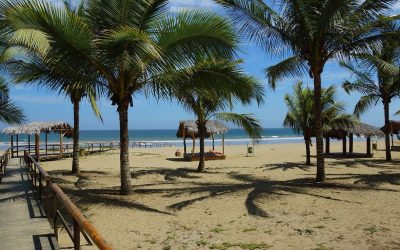 ecuador-g20798e53f_1280.jpg - StiriAlese