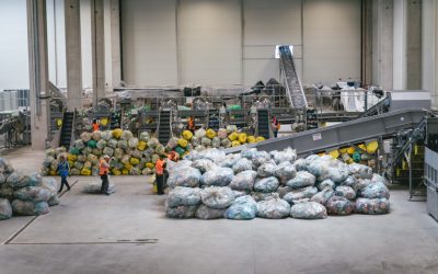 edi1142.jpg - StiriAlese