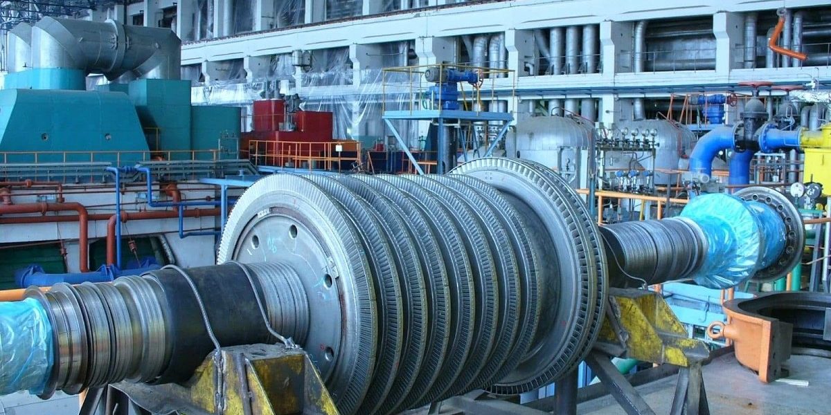 elcen.jpg - StiriAlese