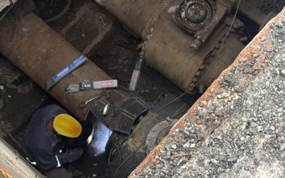 faracaldura-e1769606550197.jpg - StiriAlese