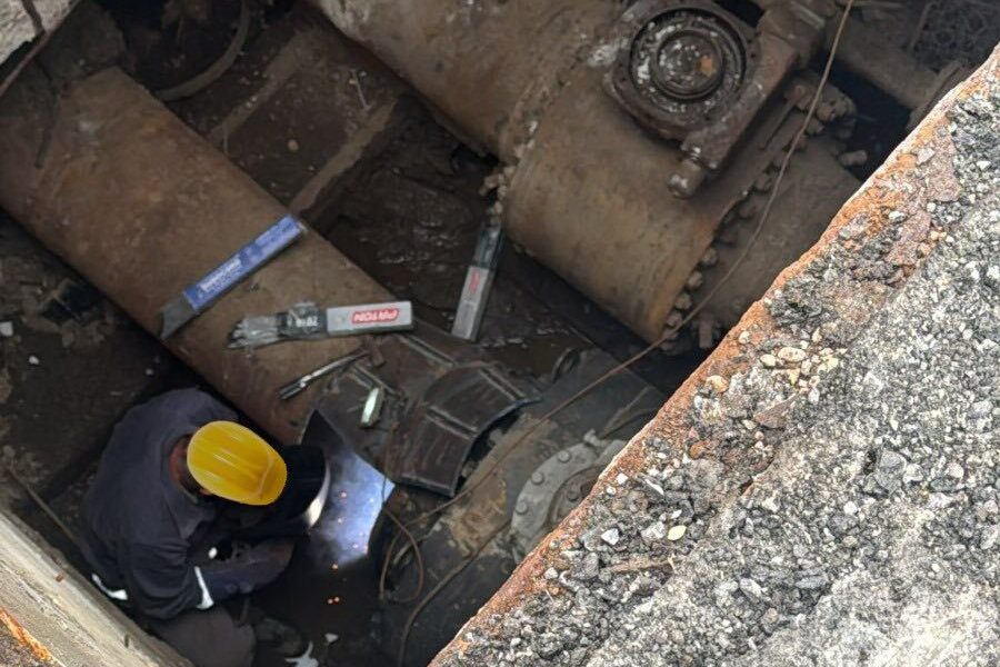 faracaldura-e1769606550197.jpg - StiriAlese