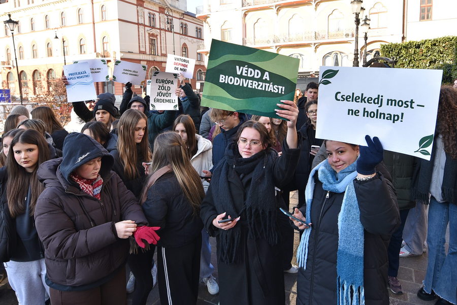 flash-mob-ecologist-20012026_05.jpeg - StiriAlese