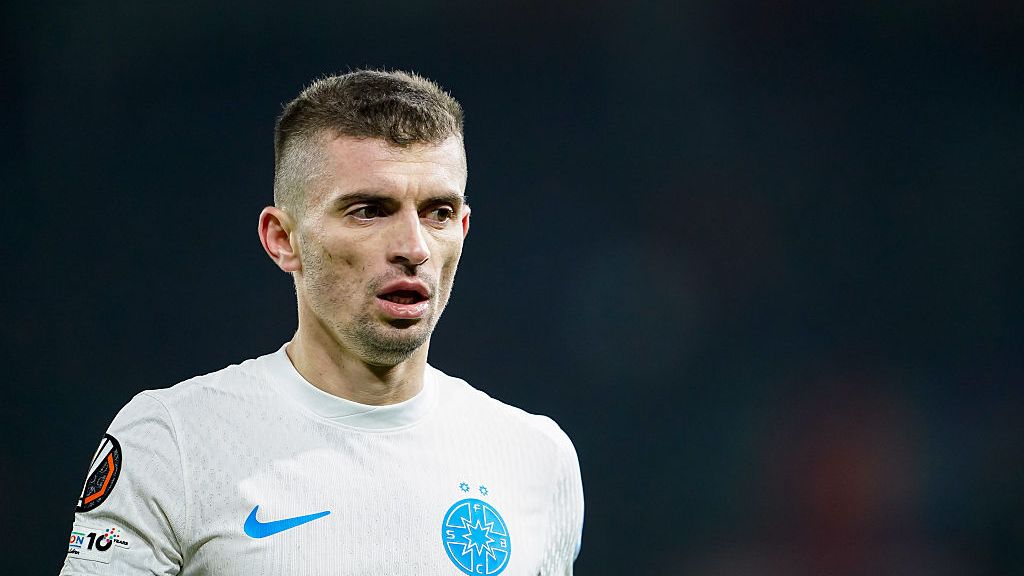 florin-tanase-2.jpg - StiriAlese