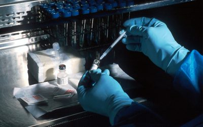 genetica.jpg - StiriAlese