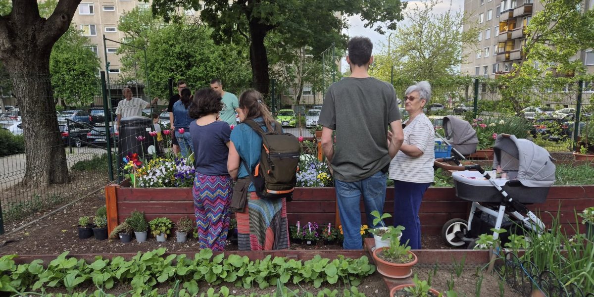 gradinile-comunitare1-debrecen.jpg - StiriAlese