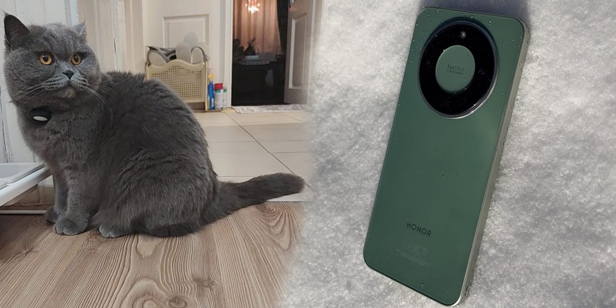 intro-1-scaled.jpg - StiriAlese