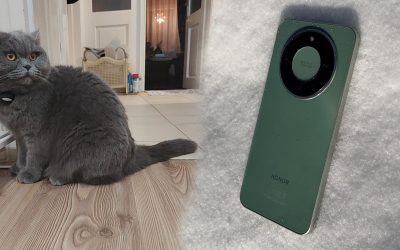 intro-1-scaled.jpg - StiriAlese