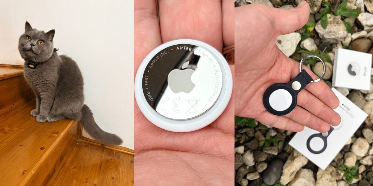 intro-2-scaled.jpg - StiriAlese