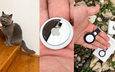 intro-2-scaled.jpg - StiriAlese