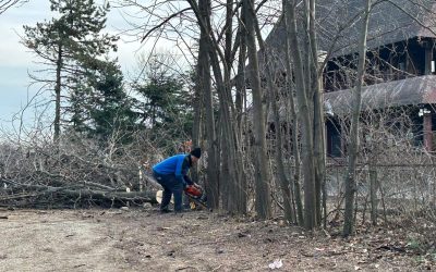 ior-aprc-1.jpg - StiriAlese