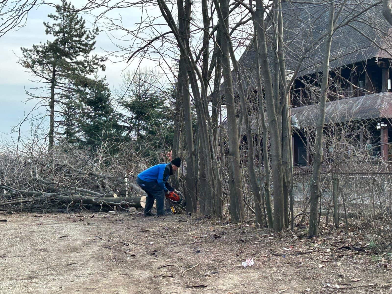 Un amplu dosar judiciar care vizează retrocedarea a 12,2 hectare de teren din Parcul IOR-Titan, una dintre cele mai importante zone verzi din București, a fost reluat recent în instanță, cu un nou termen de judecată programat pentru 27 ianuarie