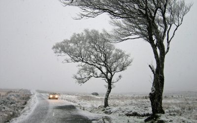 ireland-ge90926f96_1280.jpg - StiriAlese