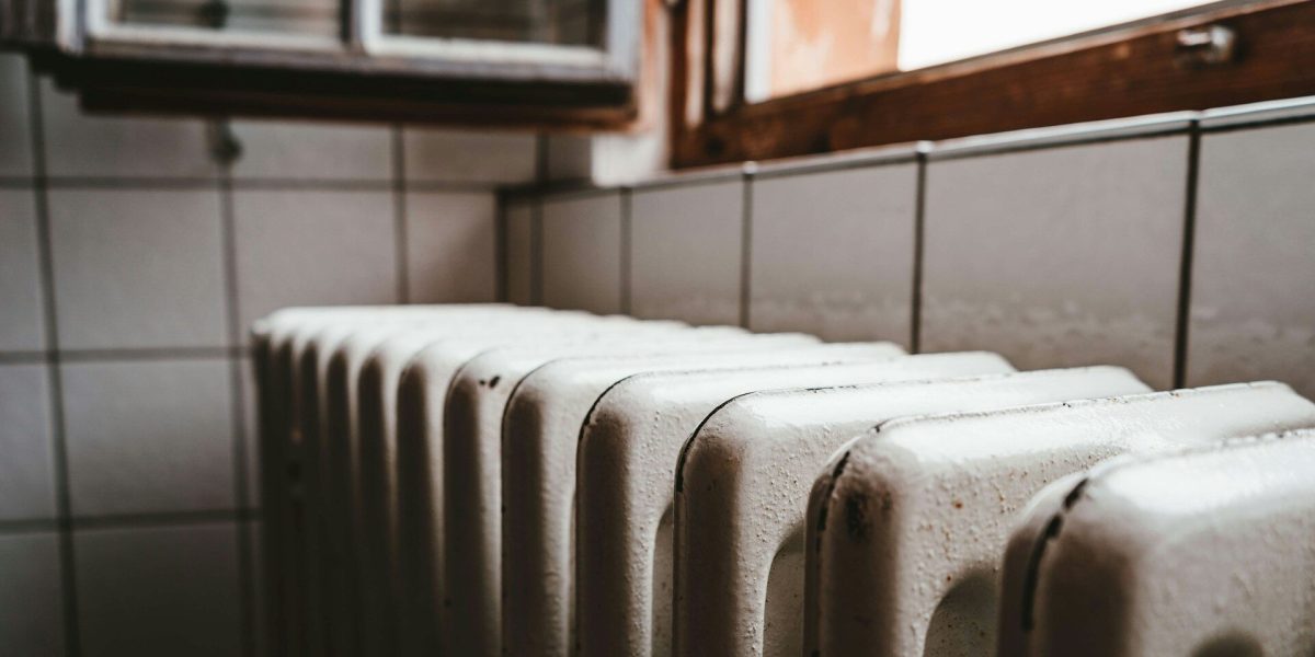 julian-hochgesang-ihx1LdtnGXw-unsplash-e1769096986622.jpg - StiriAlese