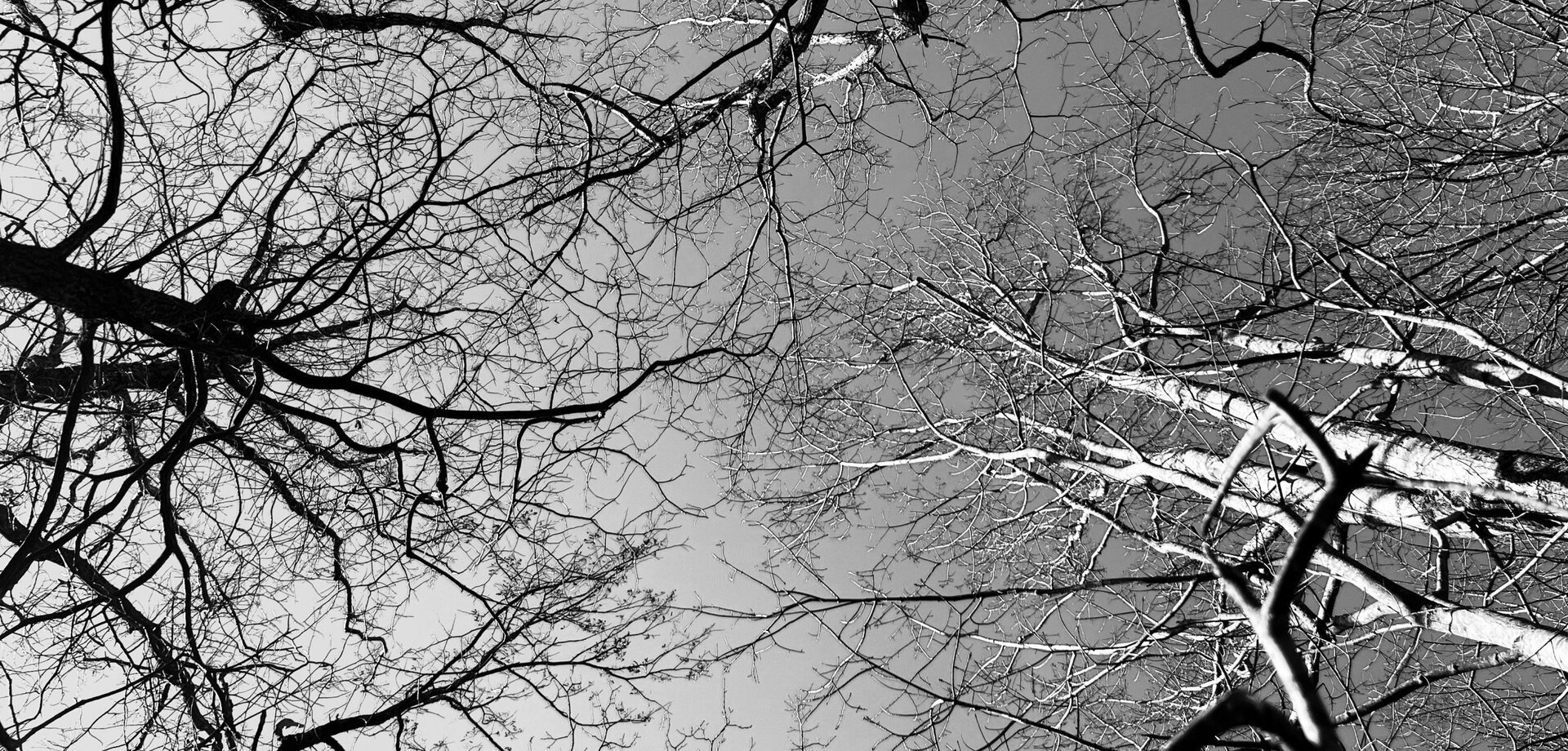 Dilemele contemporane în sala de clasă: Cum răspund profesorii de filosofie la evenimentele actuale Profesorii de filosofie se confruntă cu o provocare tot mai mare: cum să abordeze subiectele sensibile legate de evenimentele curente în cadrul cursurilor