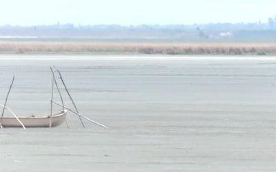 lacul-amara-buzau-secat.jpg - StiriAlese