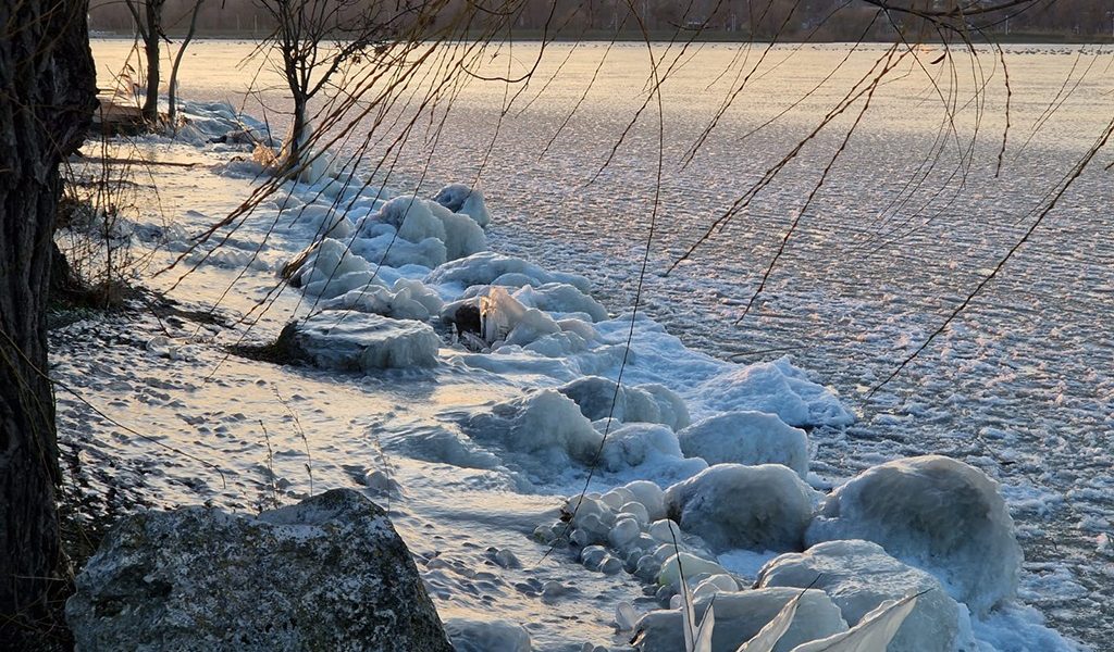 lacul-tabacarie-constanta-inghetat-parc-frig-ger-iarna2.jpeg - StiriAlese