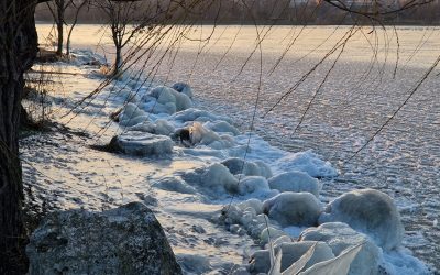 lacul-tabacarie-constanta-inghetat-parc-frig-ger-iarna2.jpeg - StiriAlese