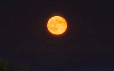 luna-4-e1767379918868.jpg - StiriAlese