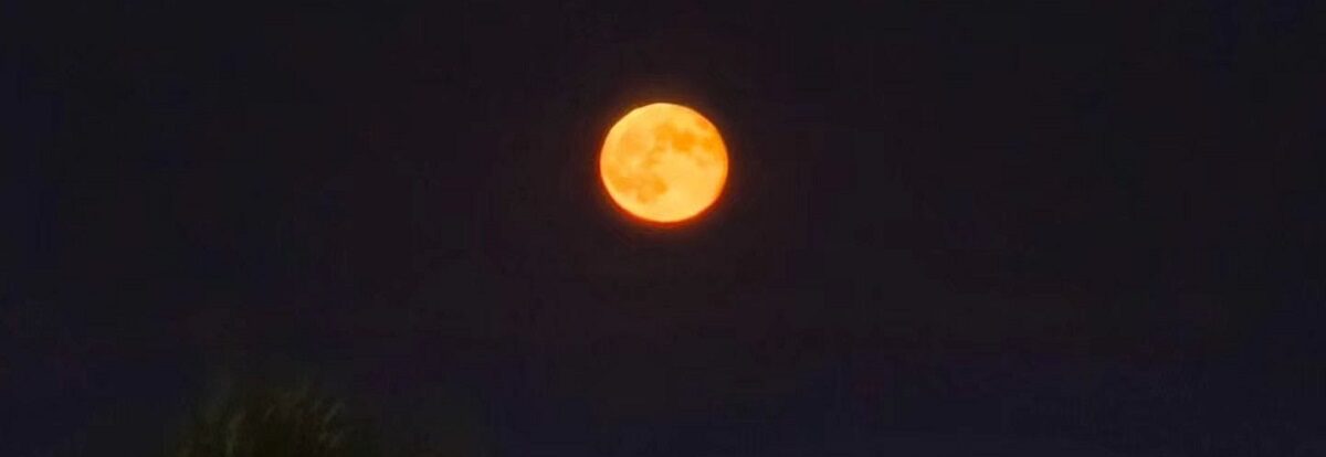 luna-4-e1767379918868.jpg - StiriAlese