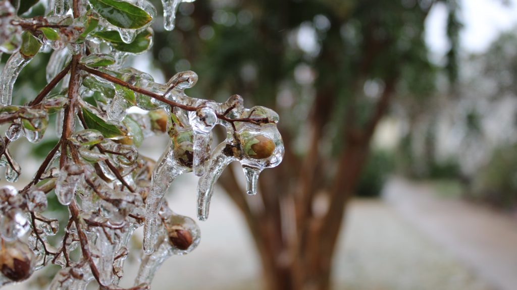 Capitala se pregătește pentru o săptămână extrem de rece, fiind sub incidența unui cod galben de ger emis de meteorologi