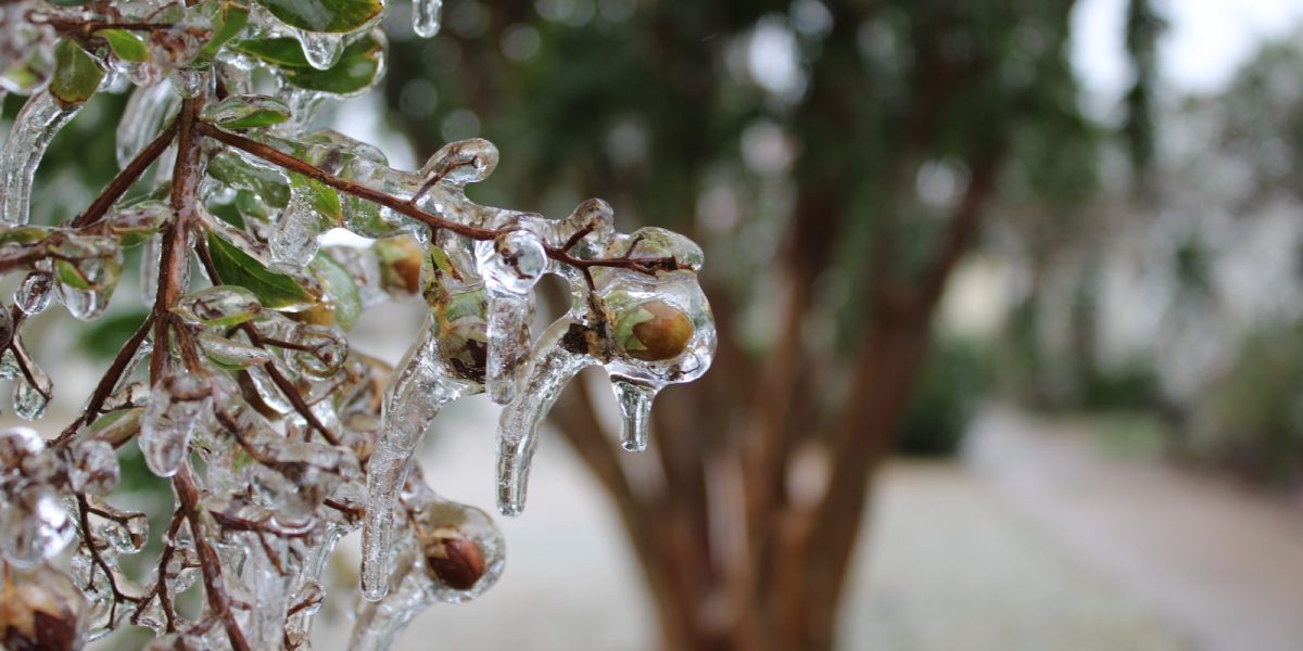 meteo-1.jpg - StiriAlese